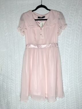 NWT Roni NYC Sheer Silk A-Line Mini Dress Pink - S